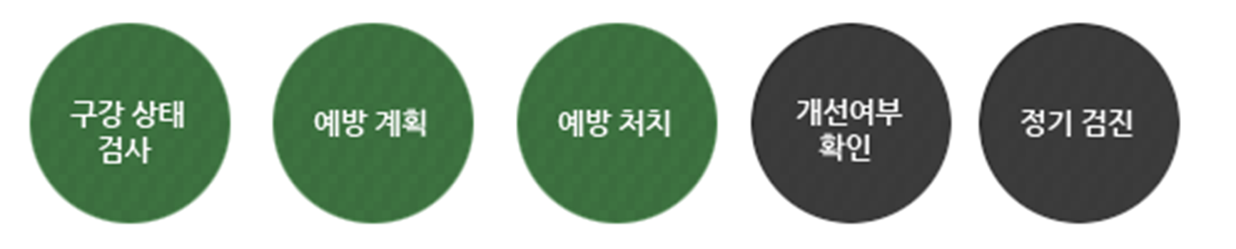 평생치아 프로그램_1.png